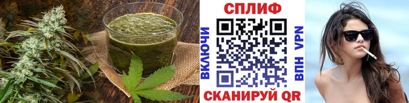 как найти   Абинск  Cannafood конопля 