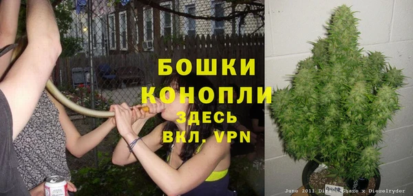 мяу мяу кристалл Шали