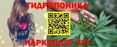 стафф Гай