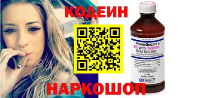 стафф Гай