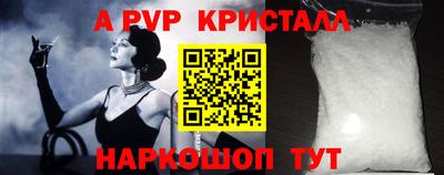 стафф Гай