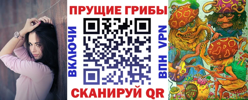 закладка  Абинск  Псилоцибиновые грибы мухоморы 