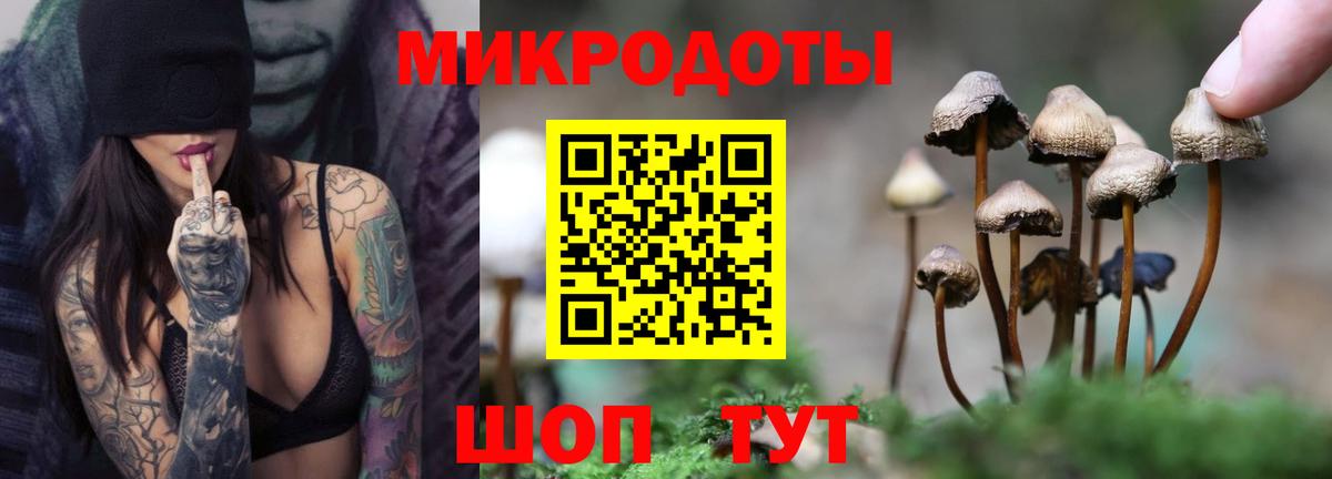 Абинск  Псилоцибиновые грибы Psilocybine cubensis  Вход с VPN 