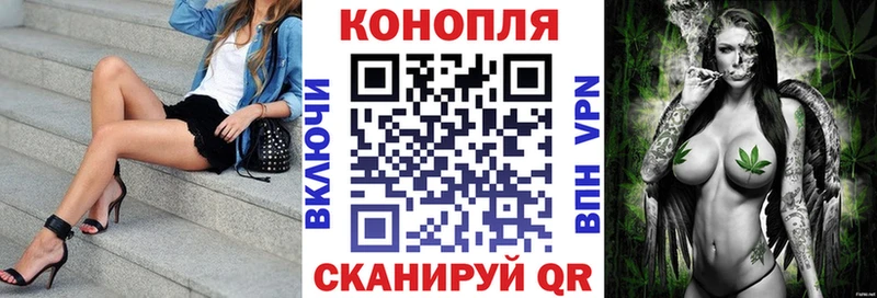 Каннабис OG Kush  закладка  Абинск 